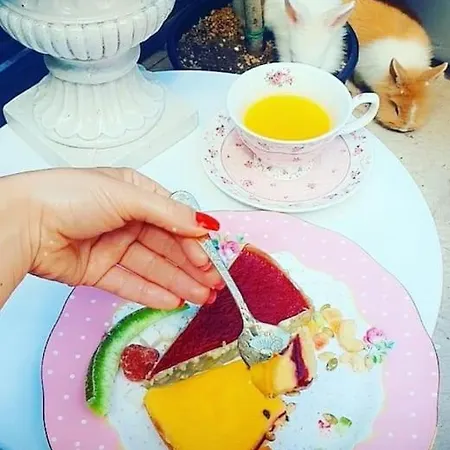 Casa In Inima Capitalei Willa Bukareszt