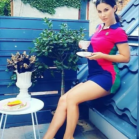 Vilă Casa In Inima Capitalei Bucureşti